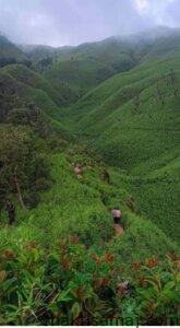 IMG 20240912 WA0016