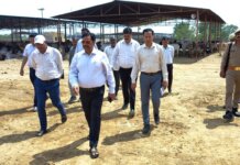 कान्हा पशु आश्रय स्थल की व्यवस्थाएं रहें दुरुस्त, गौवंशों के स्वास्थ्य की नियमित निगरानी हो, प्रतिदिन उपलब्ध कराया जाए हरा चारा – जिलाधिकारी।