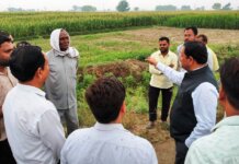 मिशन समाधान का जनपदभर में दिखा असर, सभी तहसीलों में राजस्व अधिकारियों की मौजूदगी में हटाए गए अतिक्रमण, खाली कराई गई भूमि ग्रामसभा के नाम दर्ज।