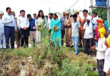 लगभग 50 वर्ष तक पट्टे की भूमि पर काबिज होने की आस जब मिशन समाधान दिवस में पूरी हुई तो पट्टेदारों ने जिलाधिकारी का शुक्रिया अदा किया।