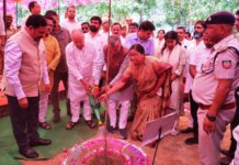 विश्व पर्यावरण दिवस पर प्रभारी मंत्री धर्मवीर प्रजापति ने किया वृक्षारोपण।
