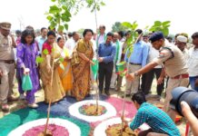 मैनपुरी में ‘एक पेड़ माँ के नाम’ अभियान: 28 एकड़ में बनेगा आदर्श हरित वन, लाखों पौधों के रोपण का लक्ष्य।