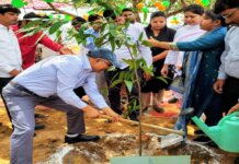 प्रकृति से दूरी नहीं, निकटता अपनाएं; हरियाली से मिलेगा सुखद अनुभव — आगरा मंडलायुक्त।