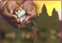 पितृपक्ष: पूर्वजों के प्रति श्रद्धा, स्मरण और वंदन का महापर्व।